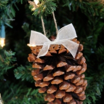 Pine cone Ornaments
